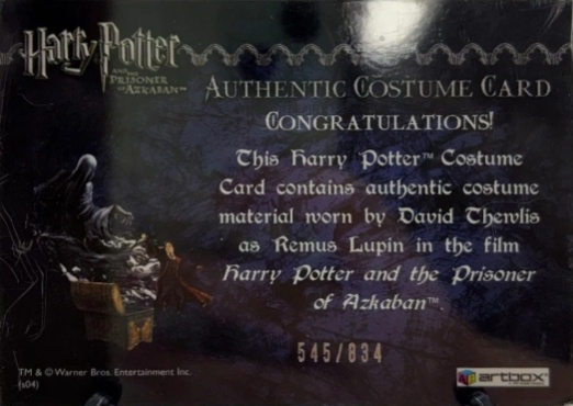 Remus Lupin's Shirt - Back