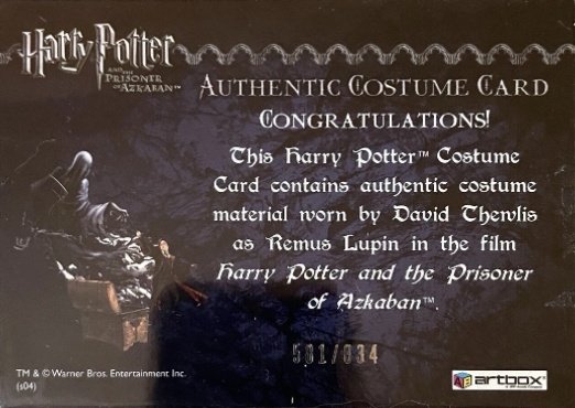 Remus Lupin's Shirt - Back