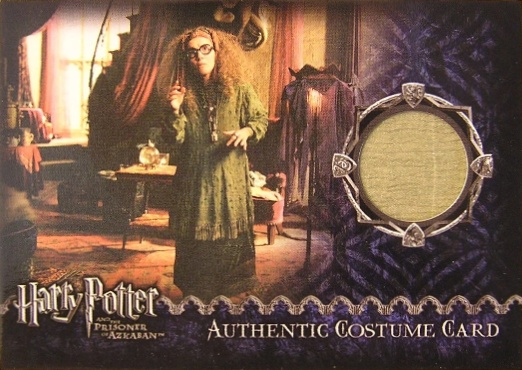 Sybil Trelawney's Grey Top and Dress - Front