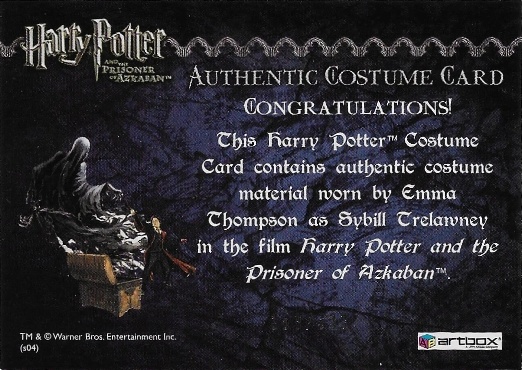 Sybil Trelawney's Grey Top and Dress - Back