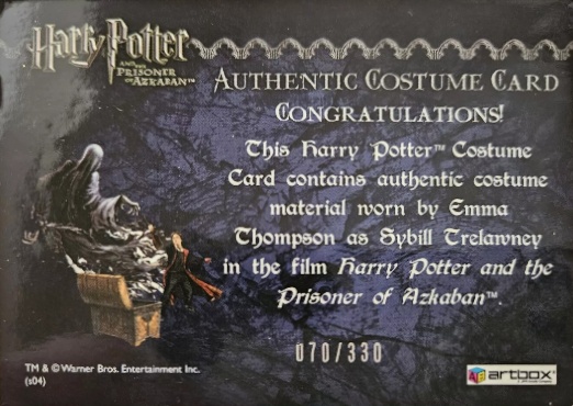 Sybil Trelawney's Grey Top and Dress - Back