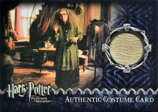 Sybil Trelawney's Grey Top and Dress - Front