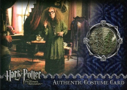 Sybil Trelawney's Grey Top and Dress - Front