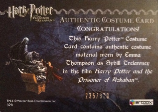 Sybil Trelawney's Grey Top and Dress - Back