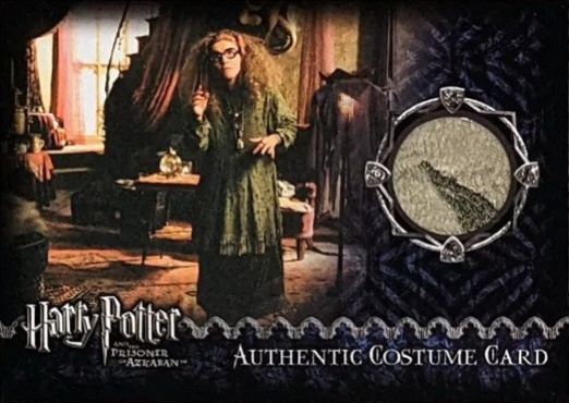 Sybil Trelawney's Grey Top and Dress - Front
