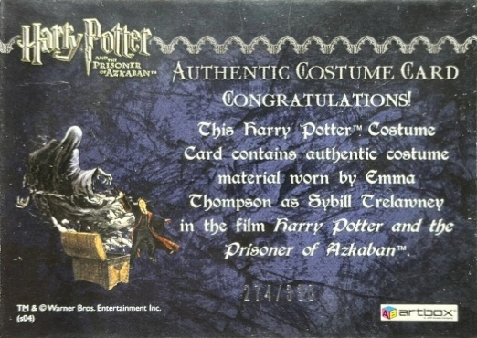 Sybil Trelawney's Grey Top and Dress - Back