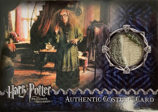 Sybil Trelawney's Grey Top and Dress - Front