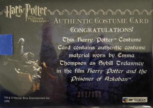Sybil Trelawney's Grey Top and Dress - Back
