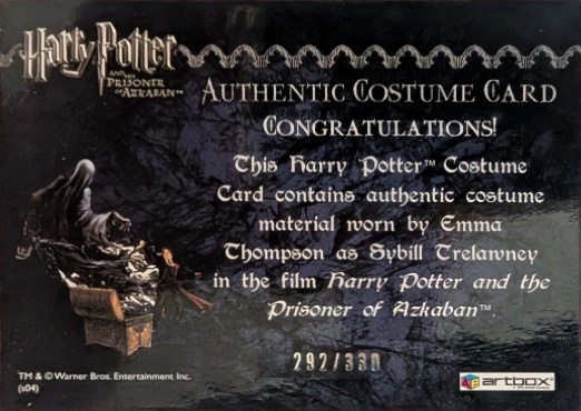 Sybil Trelawney's Grey Top and Dress - Back