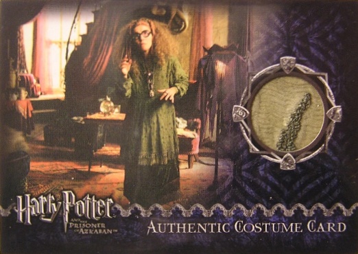 Sybil Trelawney's Grey Top and Dress - Front