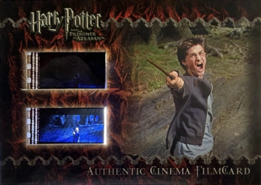 Harry Casts Patronus - Front