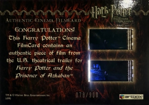 Harry Casts Patronus - Back