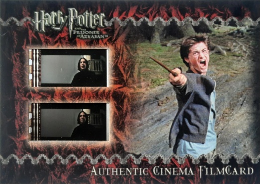 Harry Casts Patronus - Front