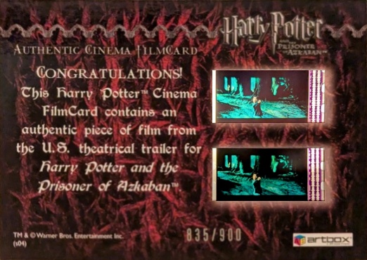 Harry Casts Patronus - Back