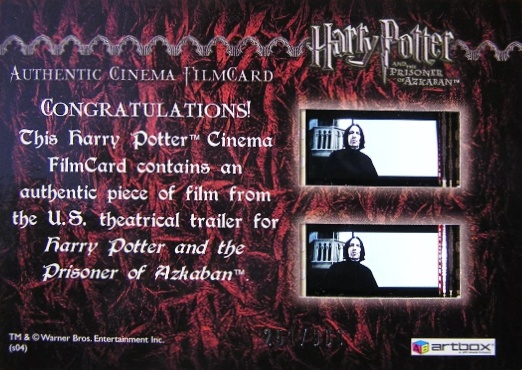 Harry and Owl in Courtyard - Back