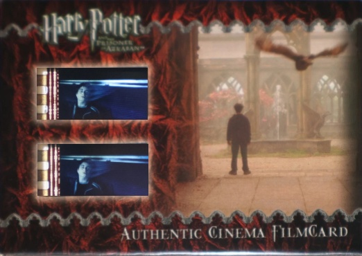 Harry and Owl in Courtyard - Front