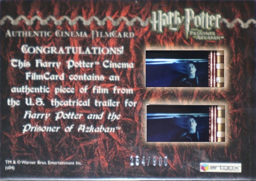 Harry and Owl in Courtyard - Back