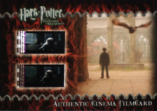 Harry and Owl in Courtyard - Front