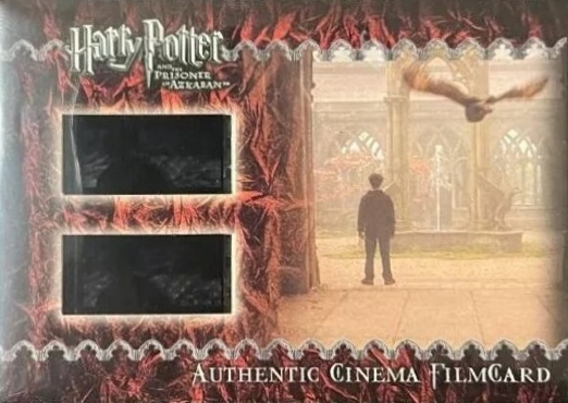 Harry and Owl in Courtyard - Front