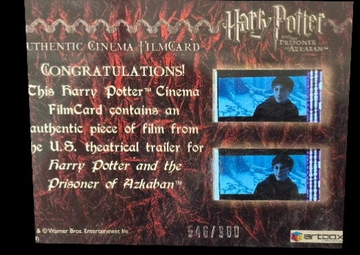 Harry and Owl in Courtyard - Back