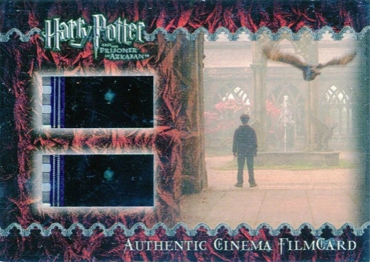 Harry and Owl in Courtyard - Front