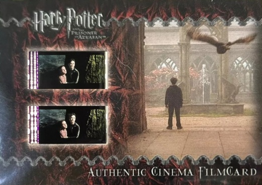 Harry and Owl in Courtyard - Front