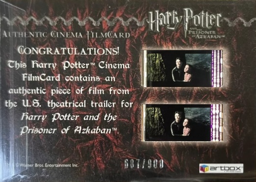 Harry and Owl in Courtyard - Back