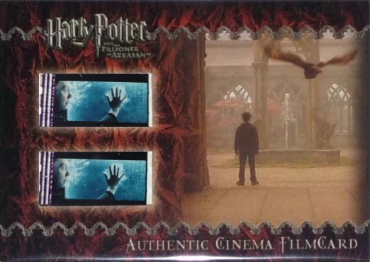 Harry and Owl in Courtyard - Front