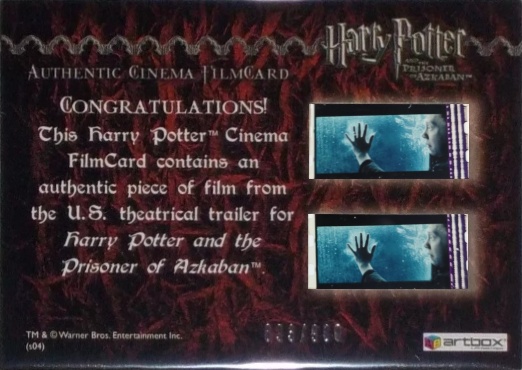 Harry and Owl in Courtyard - Back