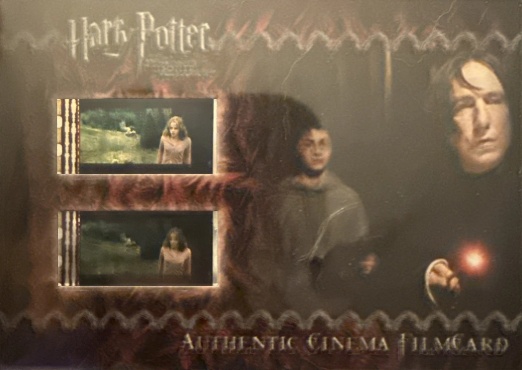 Harry and Snape - Front