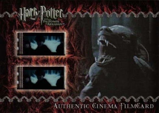 Lupin as Werewolf - Front