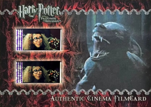 Lupin as Werewolf - Front