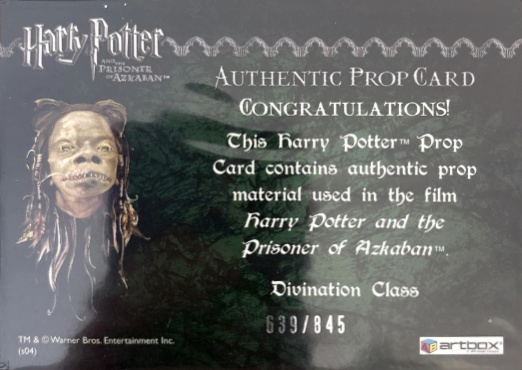 Divination Class Table Cloth - Back