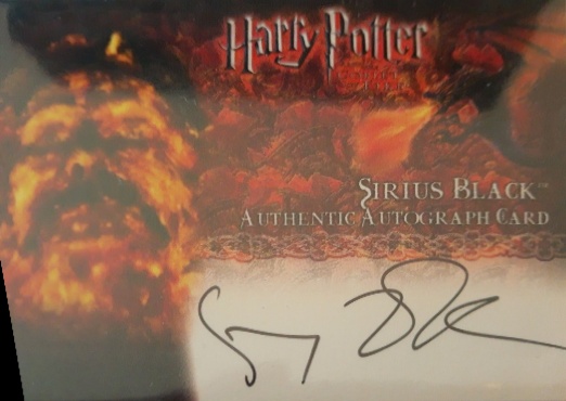 Gary Oldman as Sirius Black