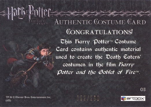 C13 - Death Eater Robes - Back