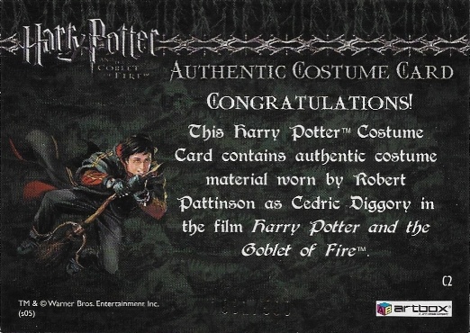 C2 - Cedric Diggory First Task Costume - Back