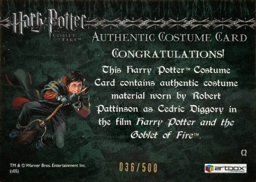 C2 - Cedric Diggory First Task Costume - Back