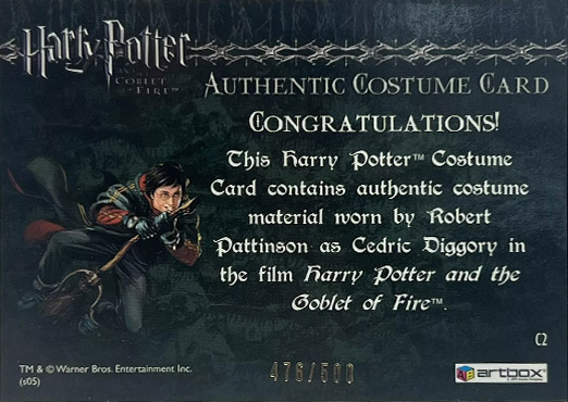 C2 - Cedric Diggory First Task Costume - Back