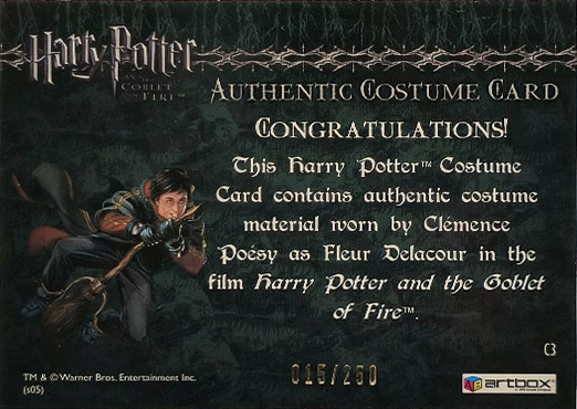 C3 - Fleur Delacour's First Task Costume - Back