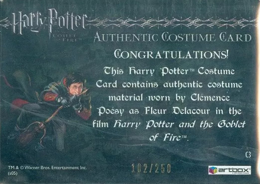 C3 - Fleur Delacour's First Task Costume - Back