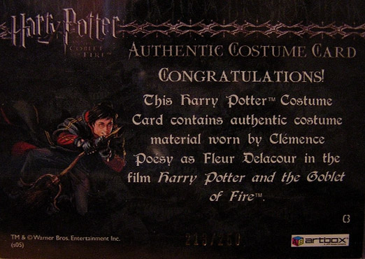 C3 - Fleur Delacour's First Task Costume - Back