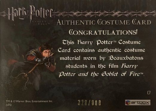 C7 - Beauxbatons Students Costume - Back