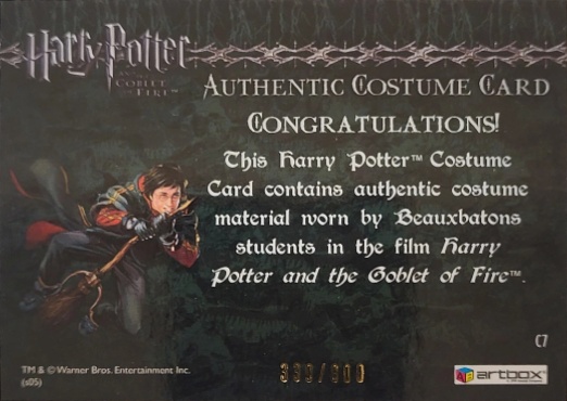 C7 - Beauxbatons Students Costume - Back