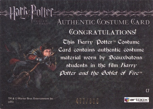C7 - Beauxbatons Students Costume - Back