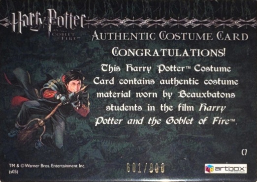 C7 - Beauxbatons Students Costume - Back