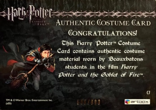 C7 - Beauxbatons Students Costume - Back