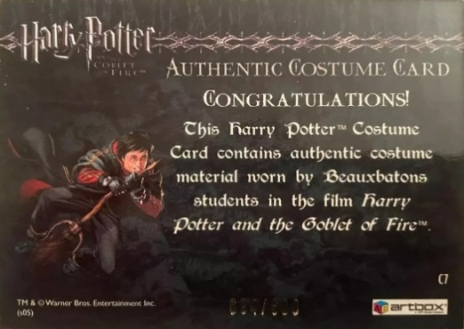 C7 - Beauxbatons Students Costume - Back