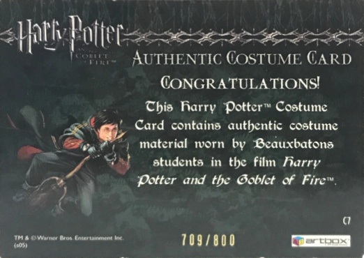 C7 - Beauxbatons Students Costume - Back