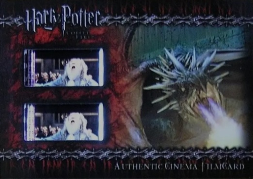 CFC3 - Dragon Breathing Fire