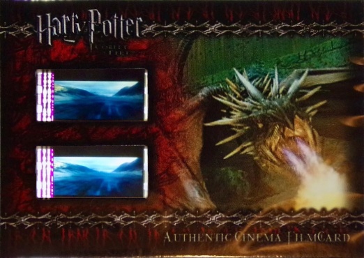 CFC3 - Dragon Breathing Fire - Front